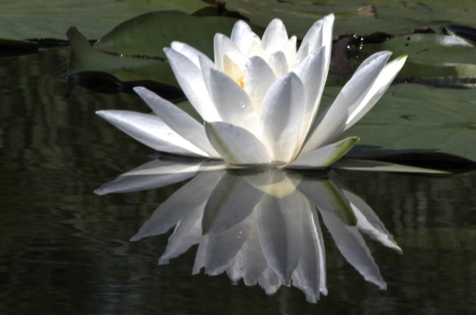 Photo by Chuck Dayton